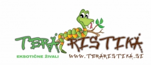 gallery/logotip teraristika